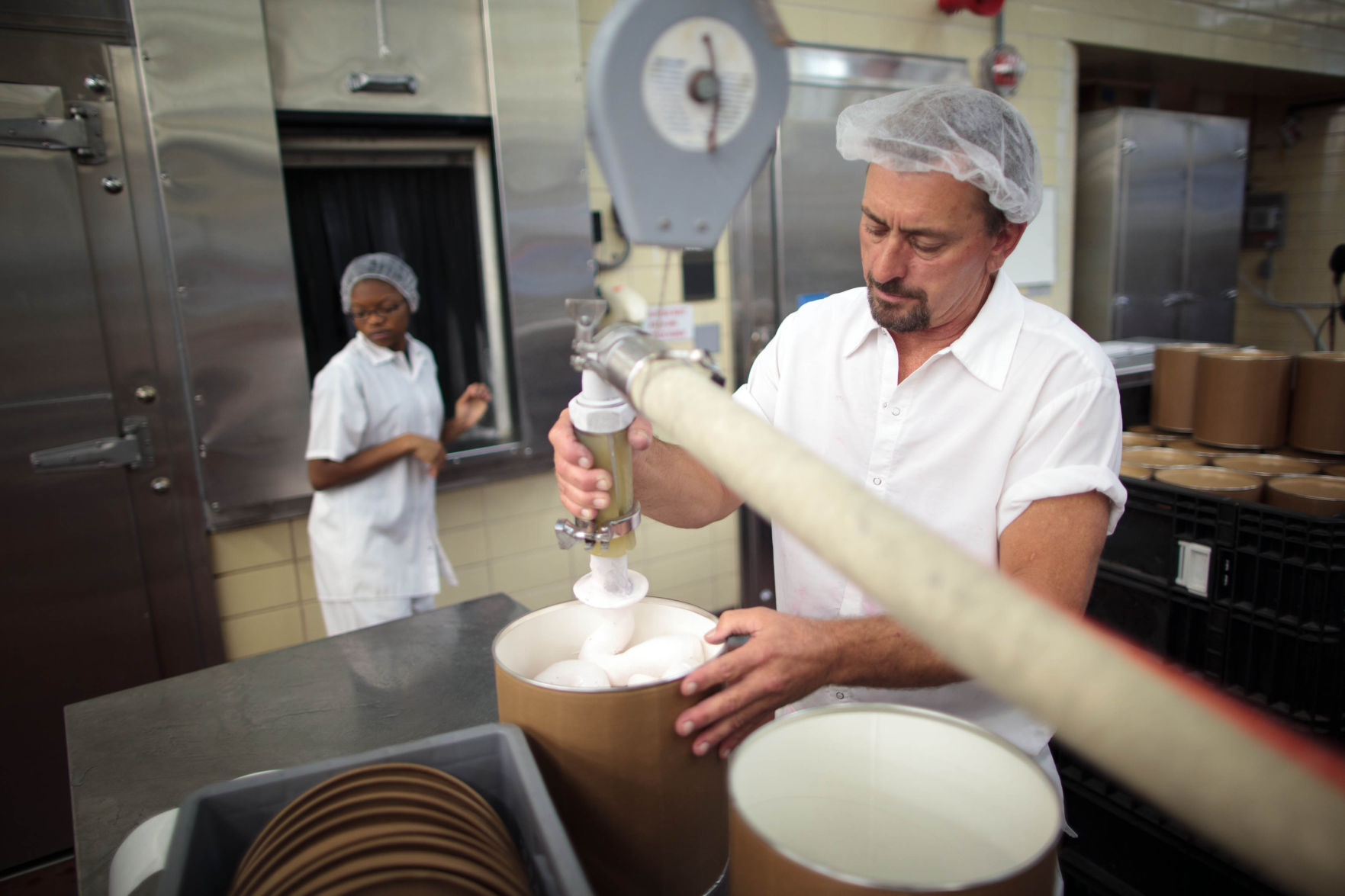 Learn all about dairy